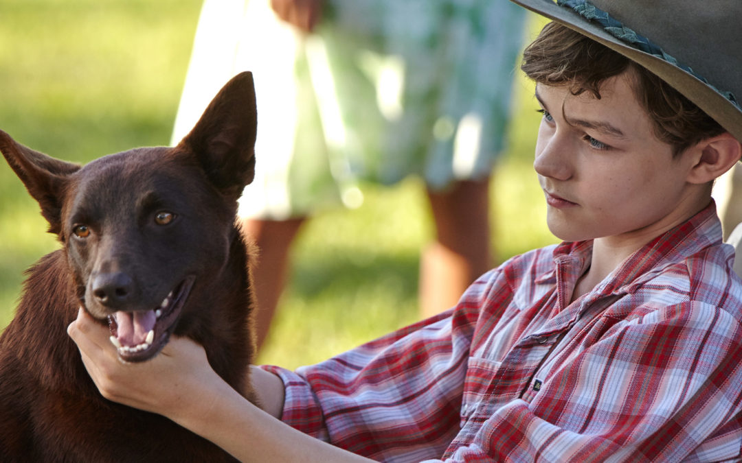 RED DOG: True Blue Graded with DaVinci Resolve Studio by Deidre McClelland at Soundfirm