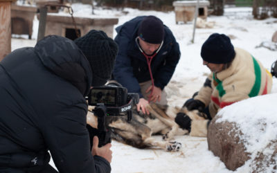 CBC Original Series Arctic Vets Captured with URSA Mini Pro 12K